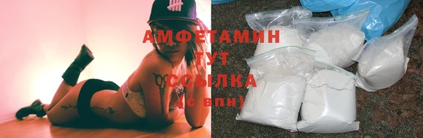 стафф Кодинск
