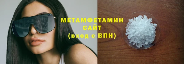прущие грибы Тайга