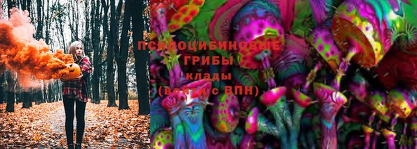 mdpv Костерёво