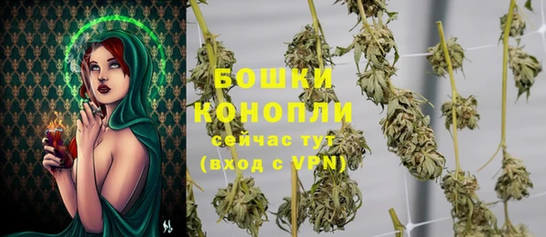 стафф Кодинск