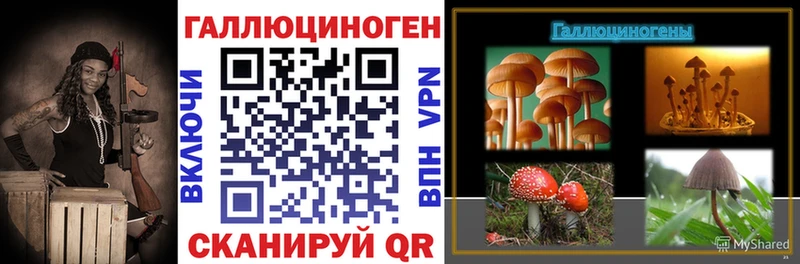 Псилоцибиновые грибы Cubensis  Топки 