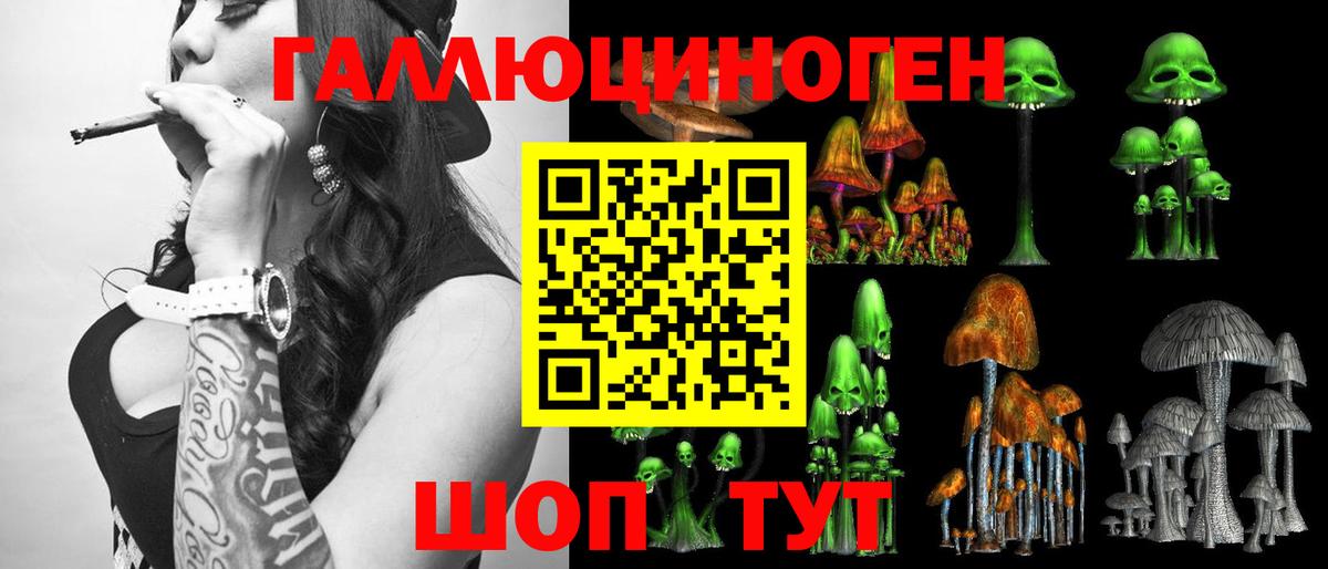 Псилоцибиновые грибы Cubensis Топки